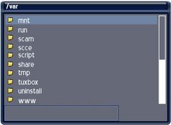 DVD-E1-2.jpg